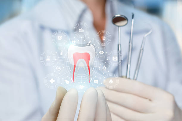 Trusted Swansea, IL Holistic Dental Care Services Experts
